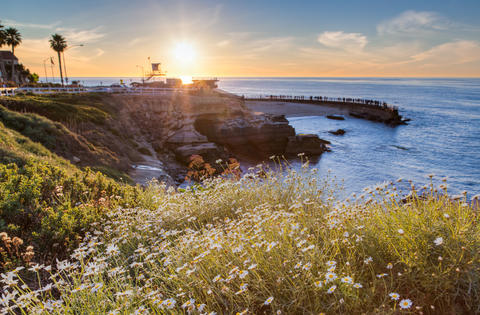 California Dreamin'