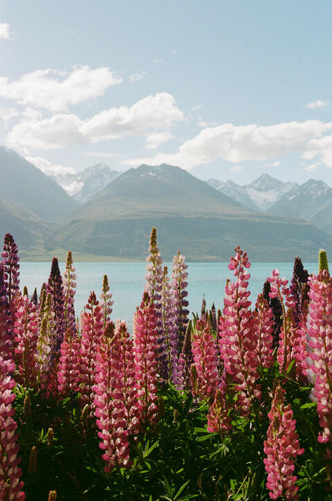 The Great Outdoors