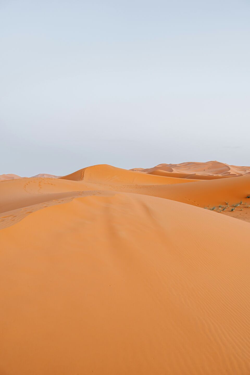 Middle East