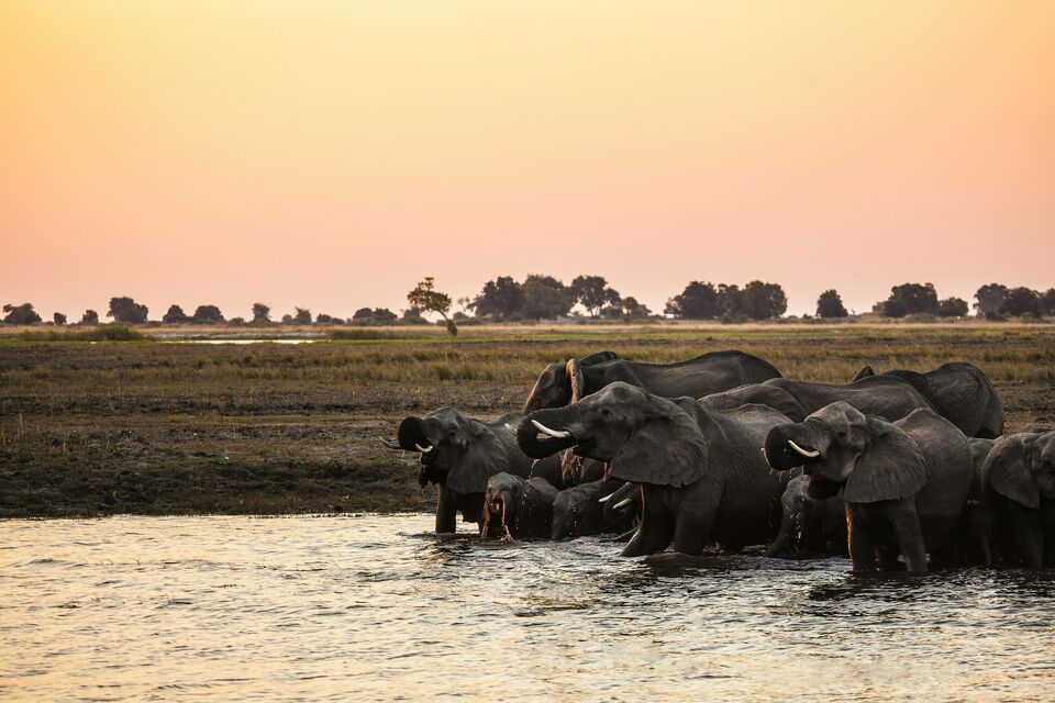 Africa