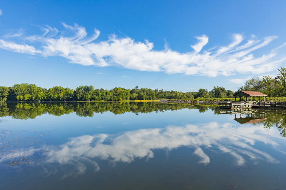 Virginia