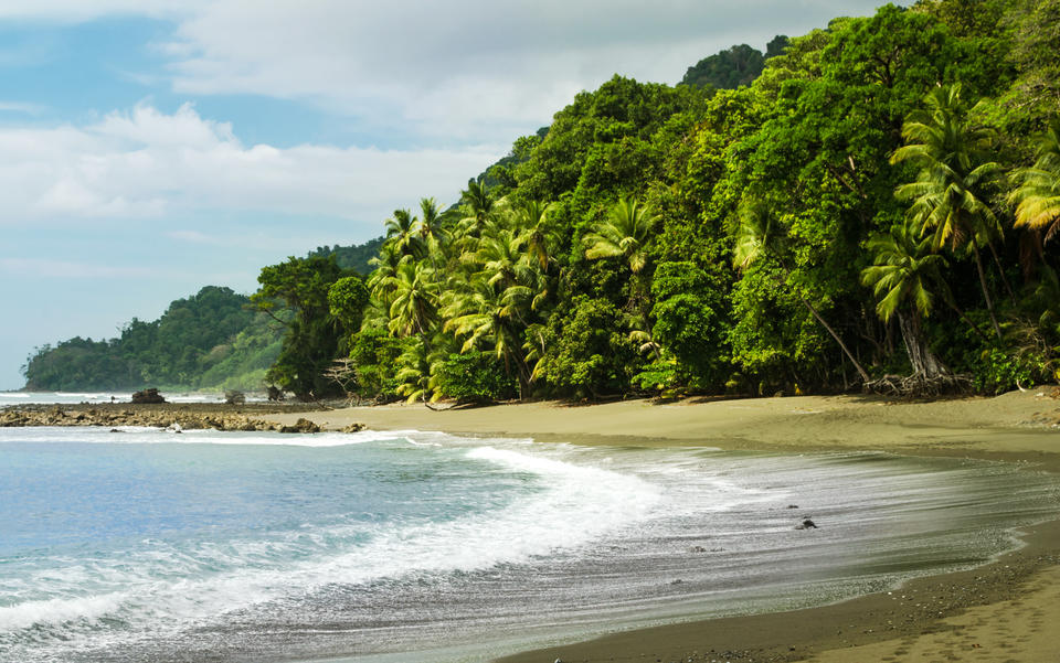 Papagayo
