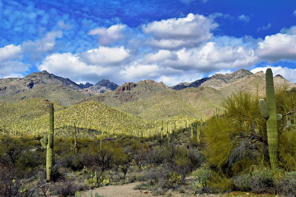 Tucson