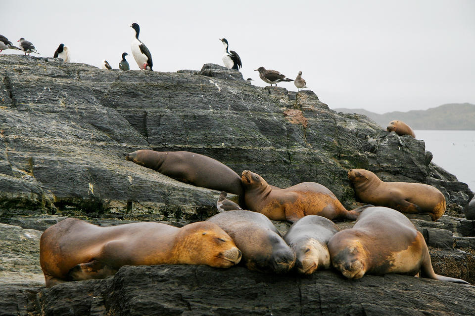 Tierra del Fuego