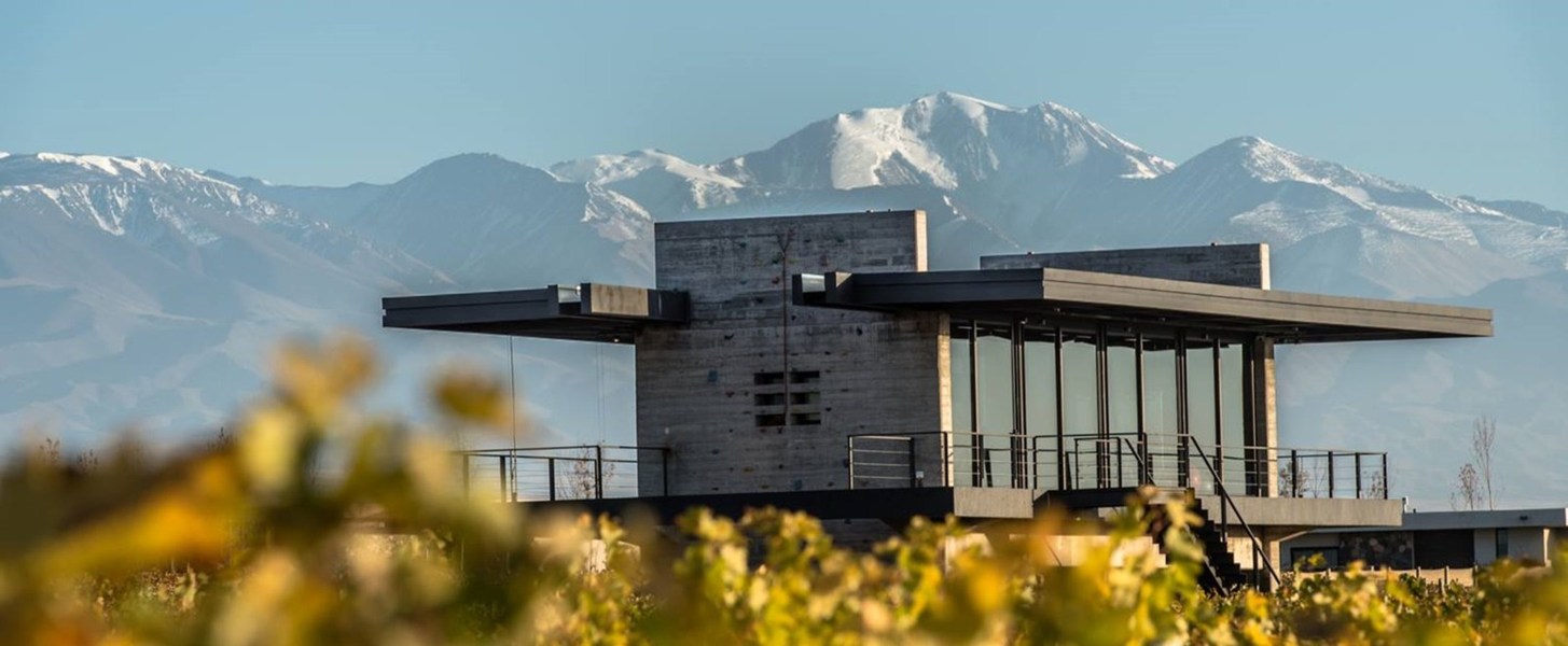 The Vines Resort & Spa, photo 4