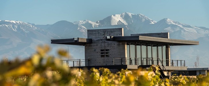The Vines Resort & Spa, photo 4