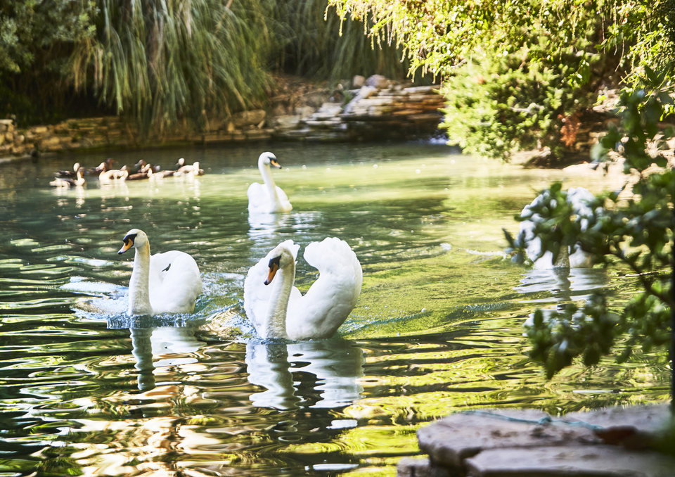 Hotel Bel-Air, photo 7