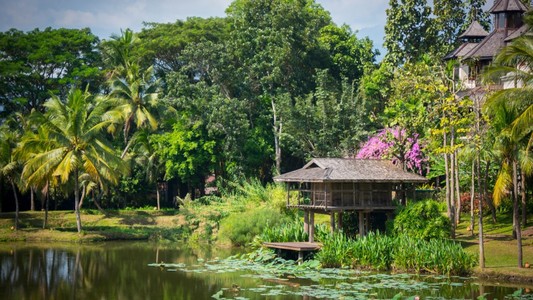 Four Seasons Resort Chiang Mai, photo 4
