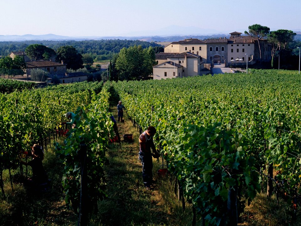 Castel Monastero, photo 8