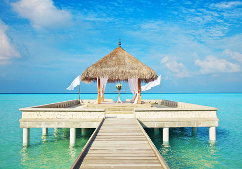 Taj Exotica Resort And Spa, photo 5