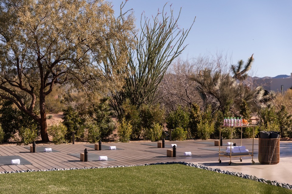 Civana Wellness Resort And Spa, photo 10