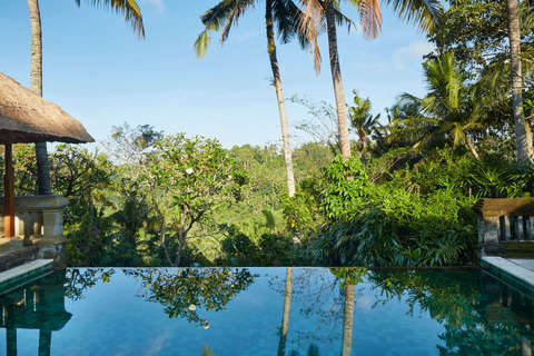 Amandari, photo 4