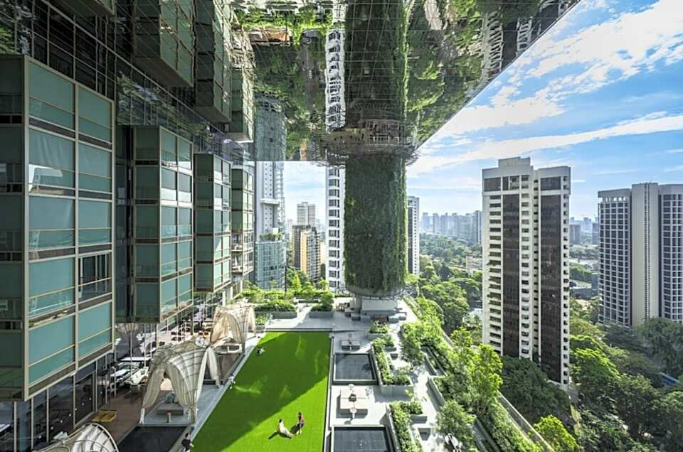 Pan Pacific Orchard, photo 3