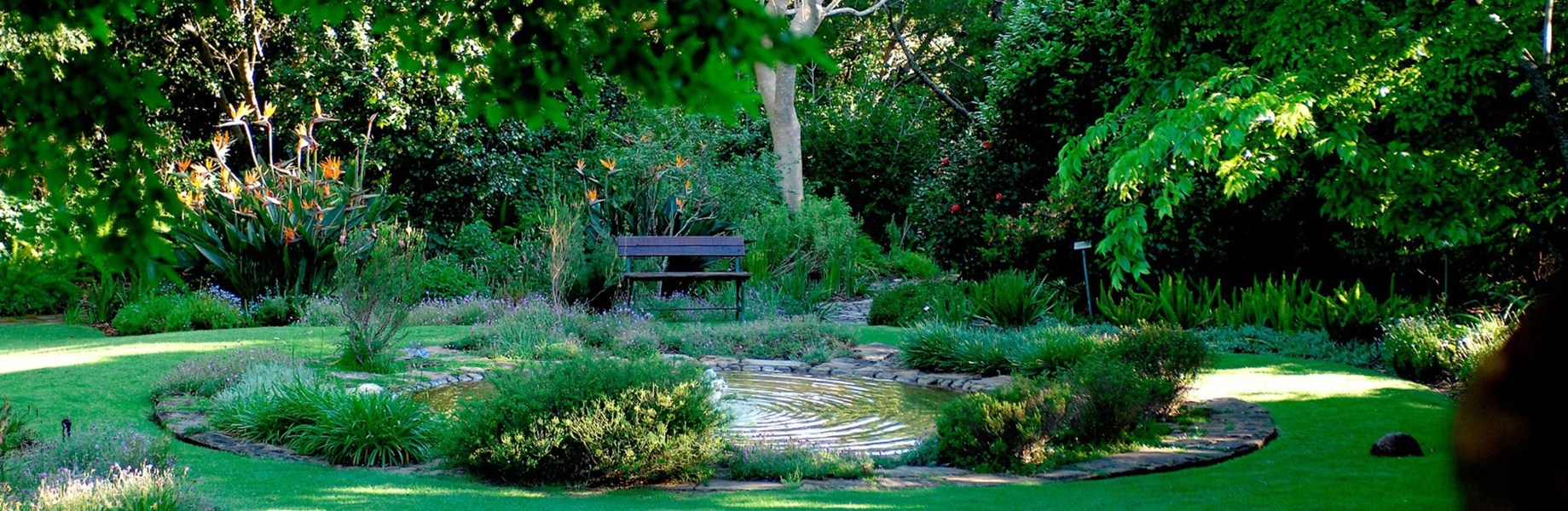 The Vineyard, photo 7