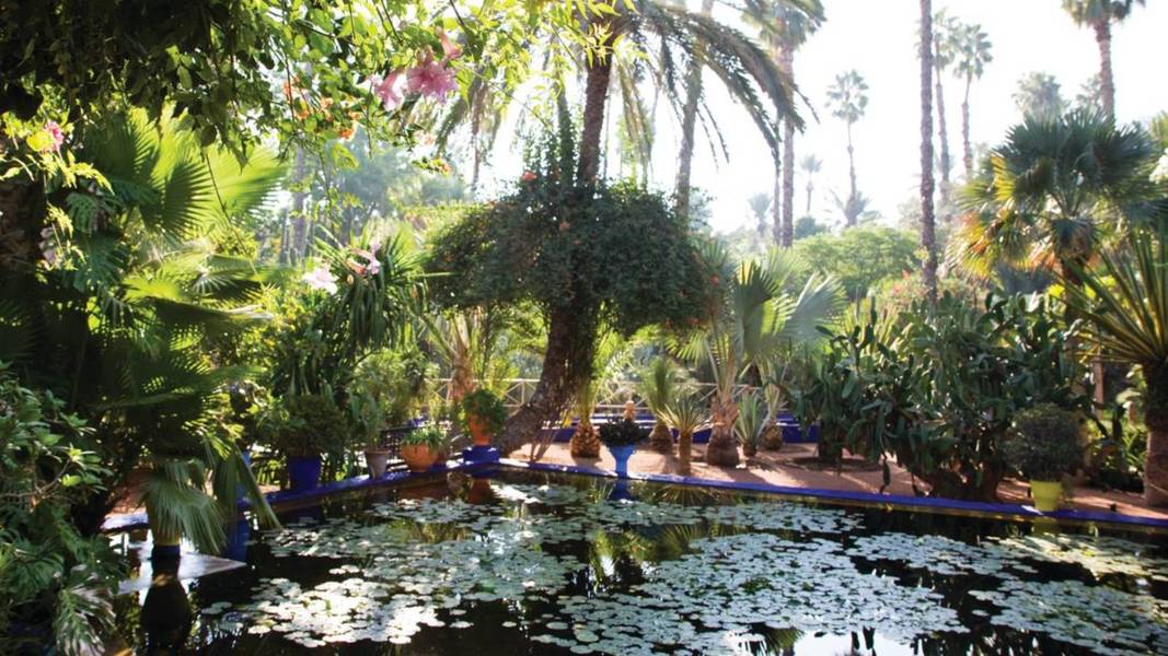 Four Seasons Hotel Marrakech, photo 6