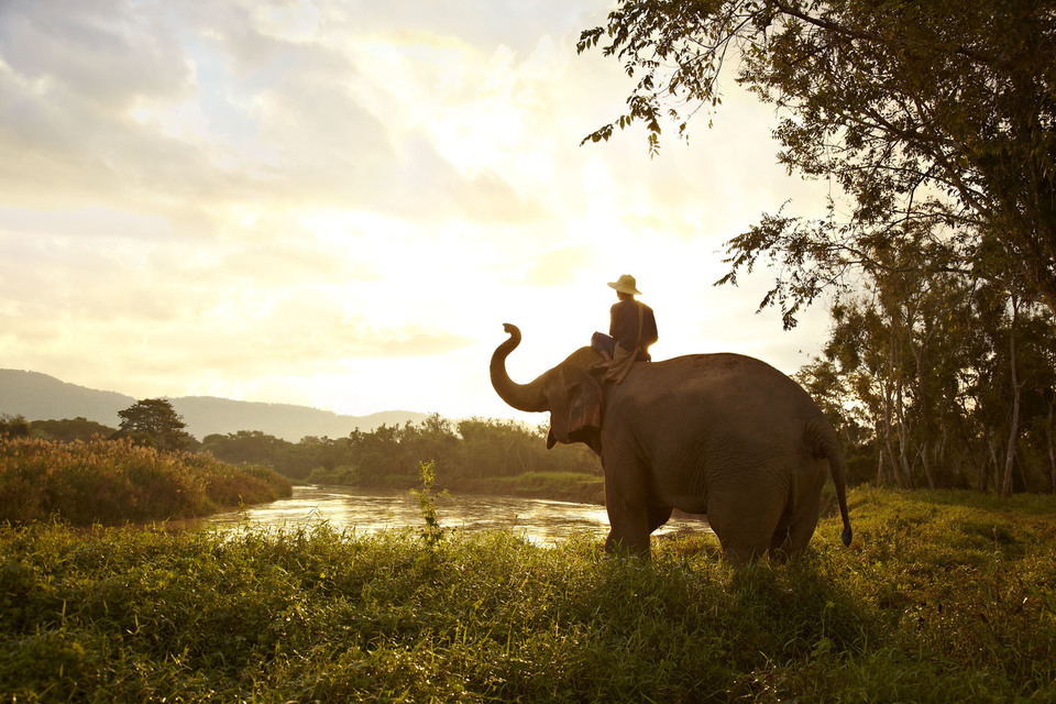 Anantara Golden Triangle Elephant Camp & Resort, photo 1