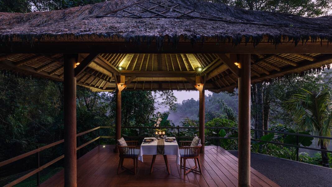Alila Ubud, photo 5