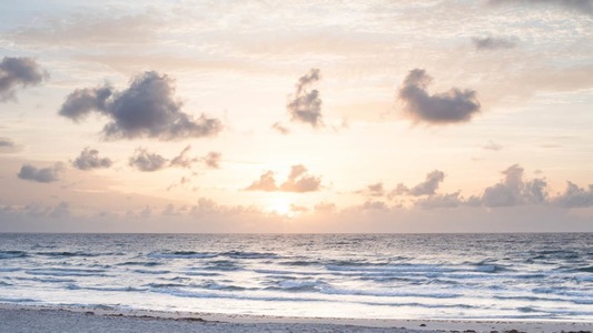 Four Seasons Resort Palm Beach, photo 3