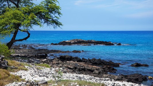 Mauna Kea Beach Hotel, photo 2