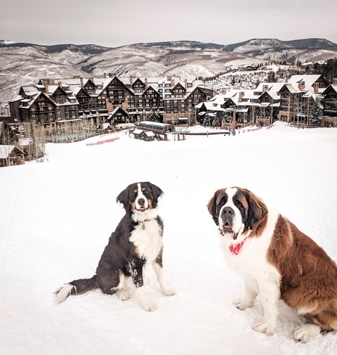 The Ritz-Carlton, Bachelor Gulch, photo 4