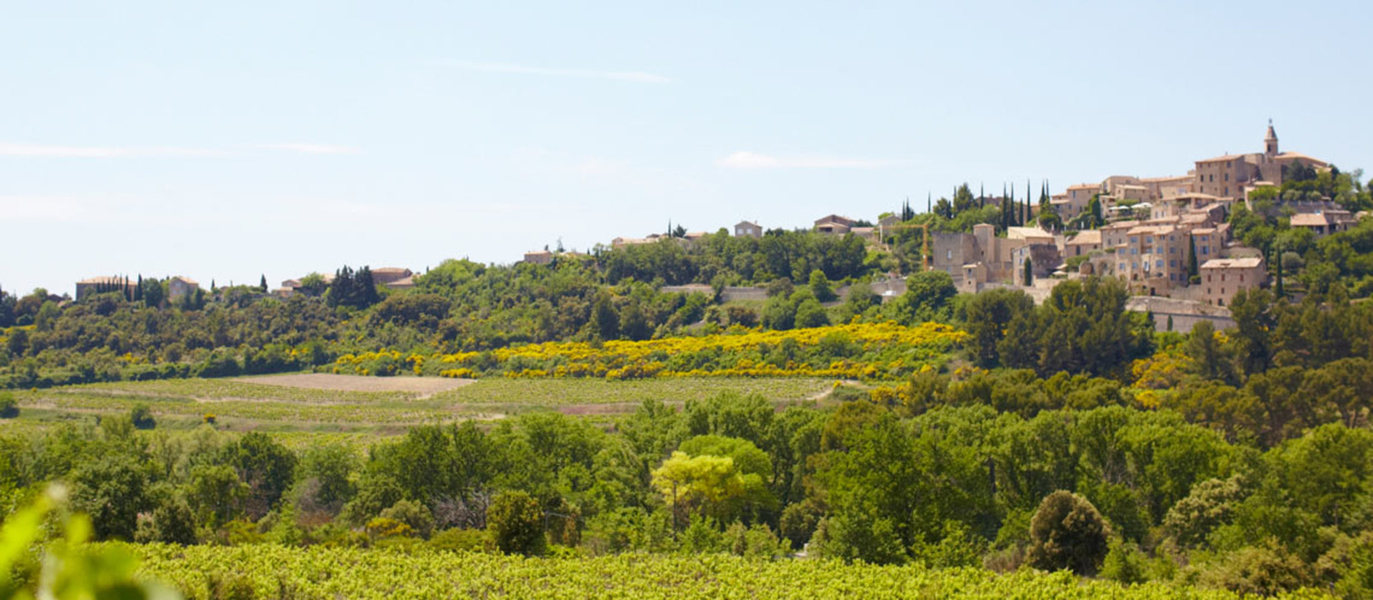 Hotel Crillon le Brave, photo 7