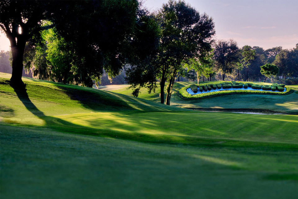Innisbrook, photo 6