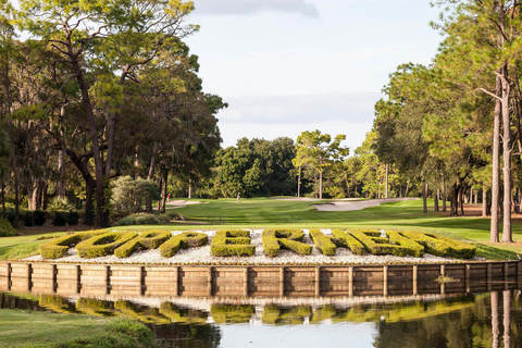 Innisbrook, photo 2
