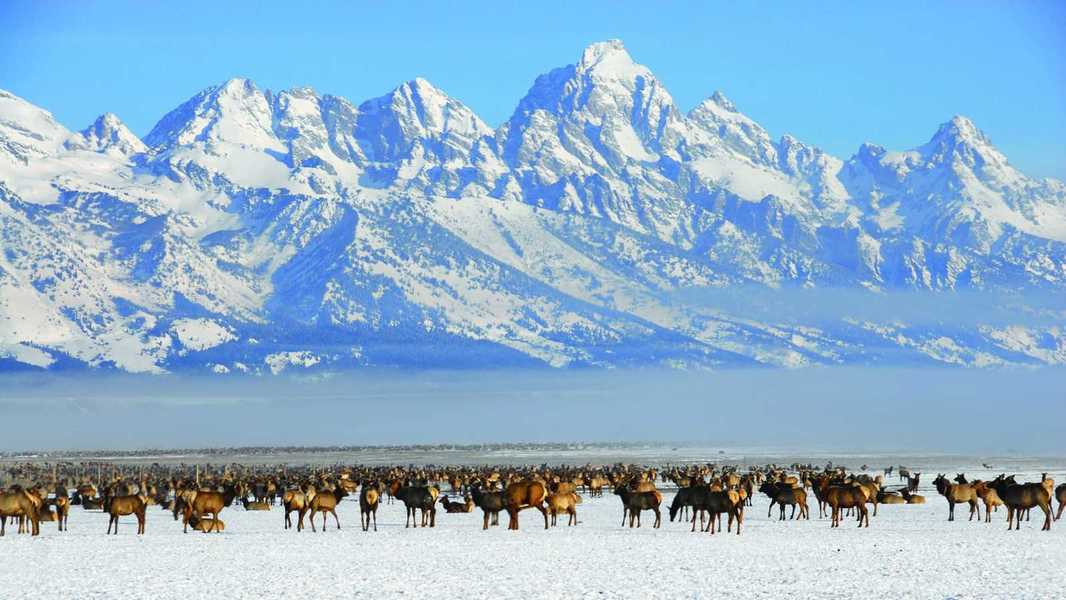 Four Seasons Jackson Hole, photo 2