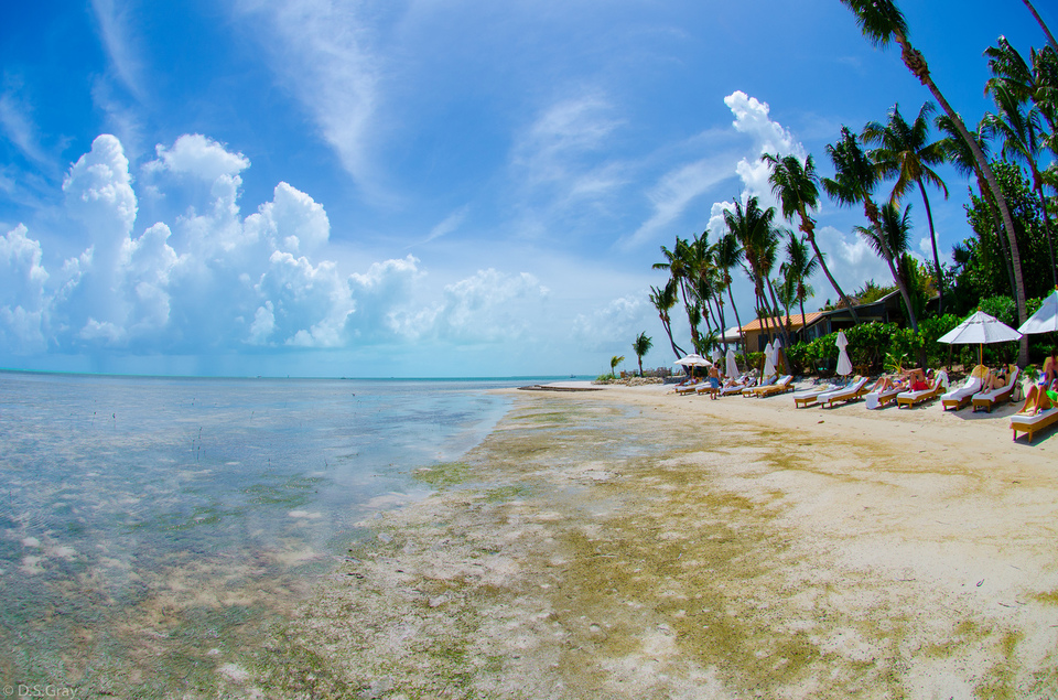 Little Palm Island, photo 2