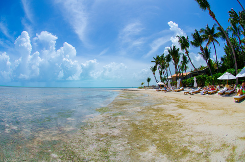Little Palm Island, photo 2