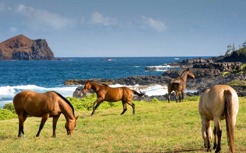 Hana Maui Resort, photo 8