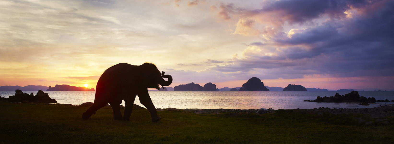 Phulay Bay, photo 6