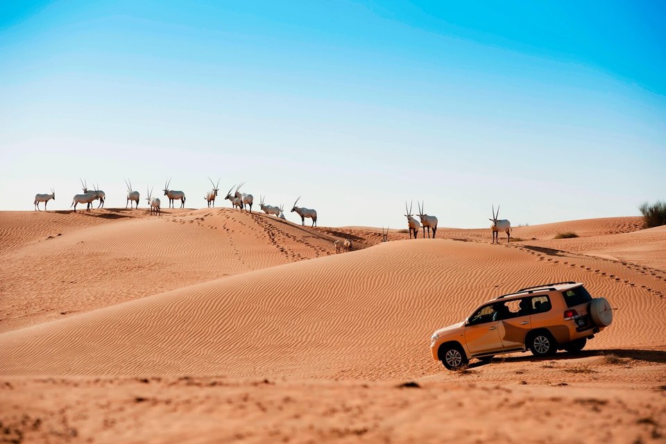 Al Maha Desert Resort And Spa, photo 3
