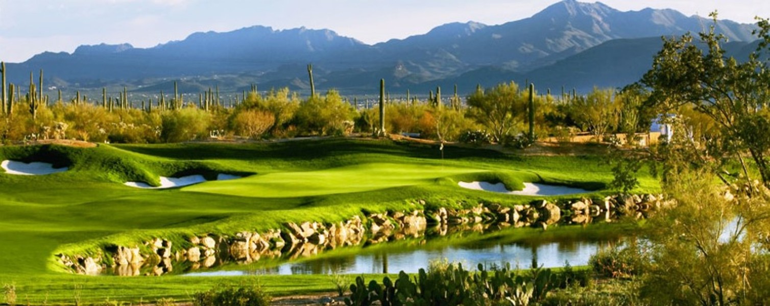 The Ritz-Carlton, Dove Mountain, photo 5