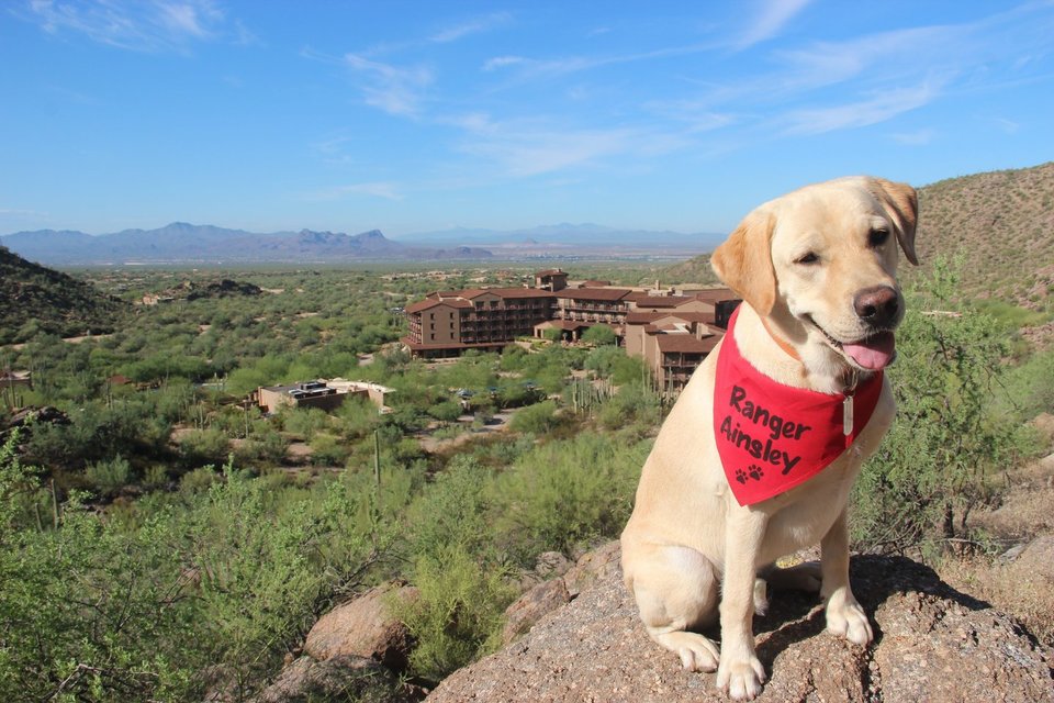 The Ritz-Carlton, Dove Mountain, photo 2