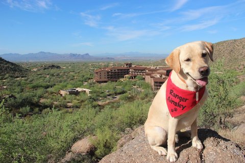 The Ritz-Carlton, Dove Mountain, photo 2