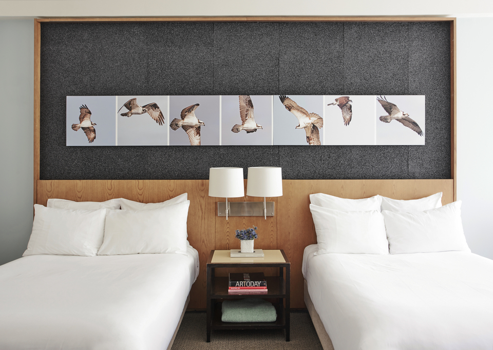 21c Museum Hotel Louisville, photo 4