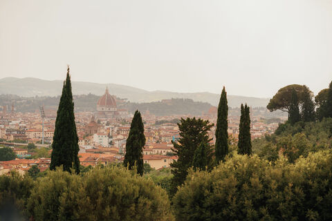 Il Salviatino, photo 3