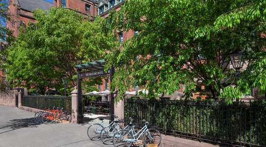 The High Line Hotel, photo 5