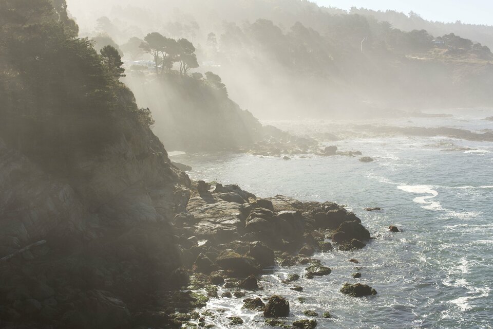 Timber Cove, photo 1