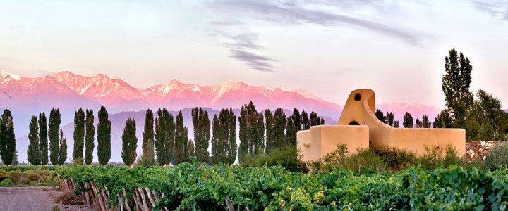 Awasi Mendoza, photo 2