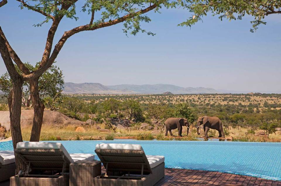 Four Seasons Safari Lodge, Serengeti, photo 1