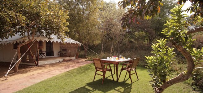 Sujan Sher Bagh, Ranthambhore, photo 5