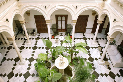 Palacio de Villapanés, photo 4