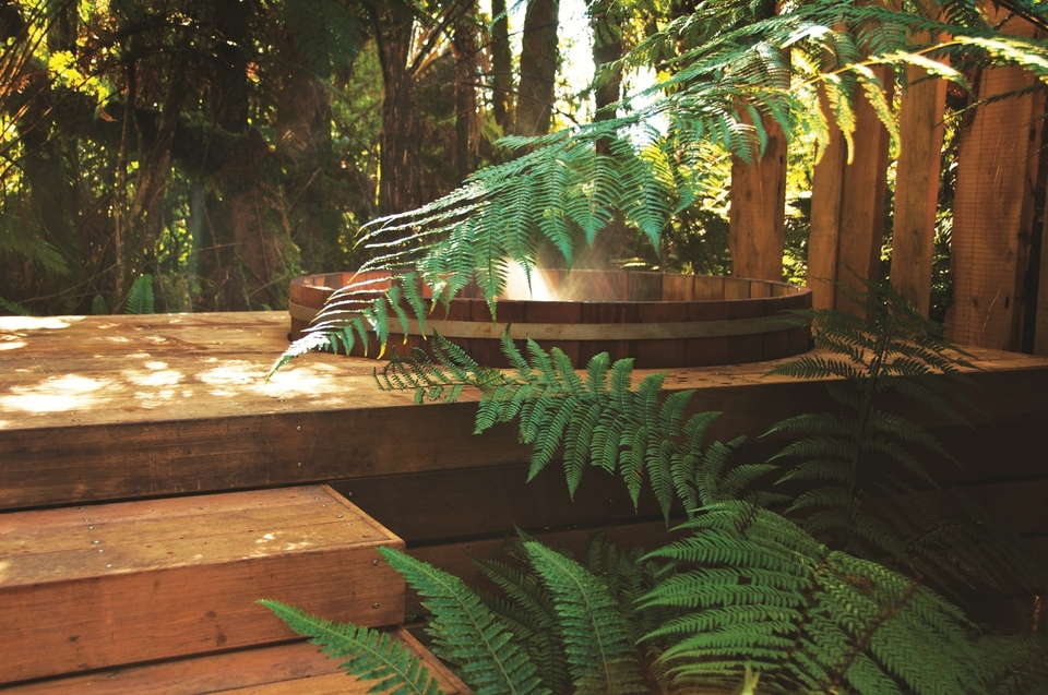 Treetops Lodge And Estate, photo 8
