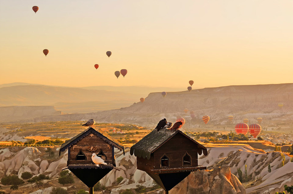 Cappadocia Museum Hotel, photo 1