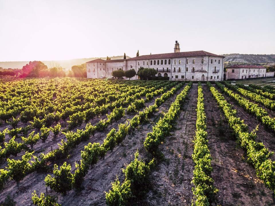 Abadía Retuerta LeDomaine, photo 3