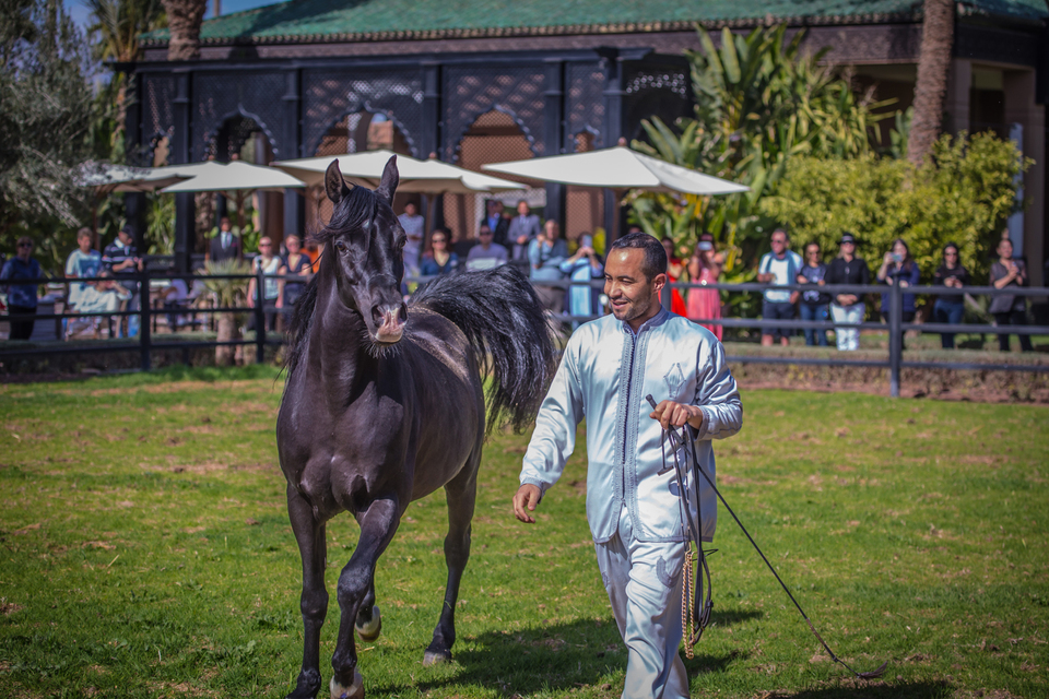 Selman Marrakech, photo 8