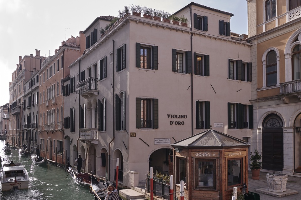 Violino D'Oro, photo 1