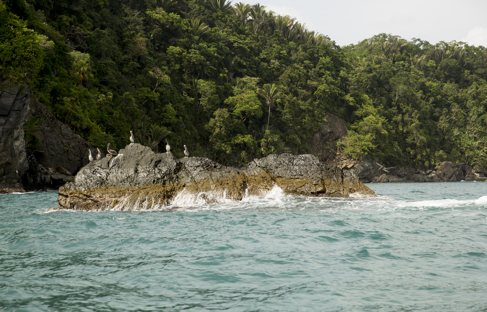 Indura Beach & Golf Resort, photo 7